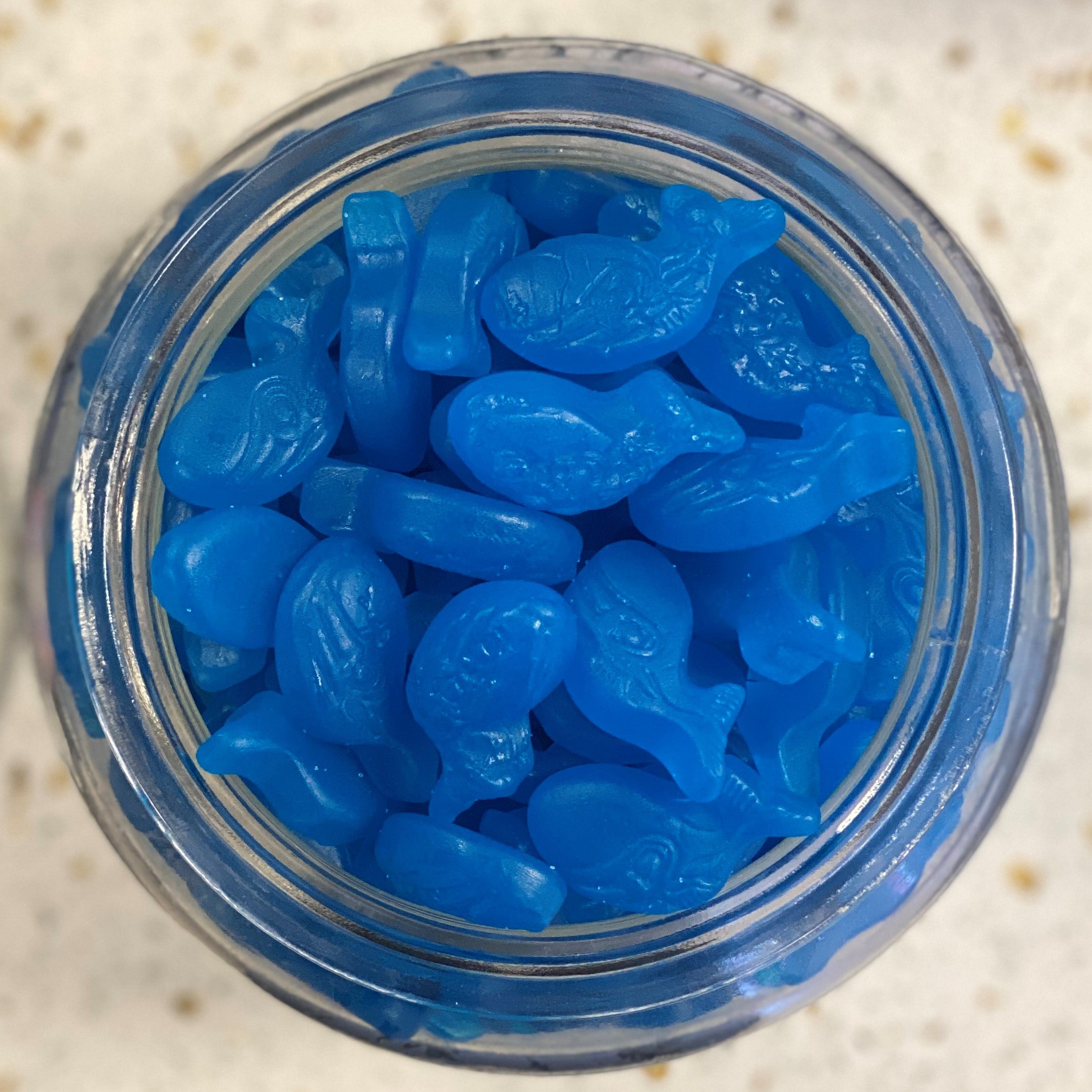 Blue Whales PoCo Sweet Shop blue-whales-poco-sweet-shop